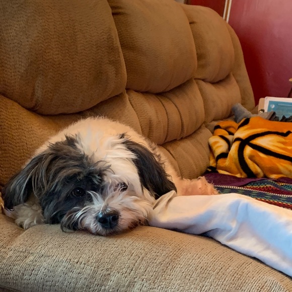 Meet your Posher, Jeff - Picture 1 of 1